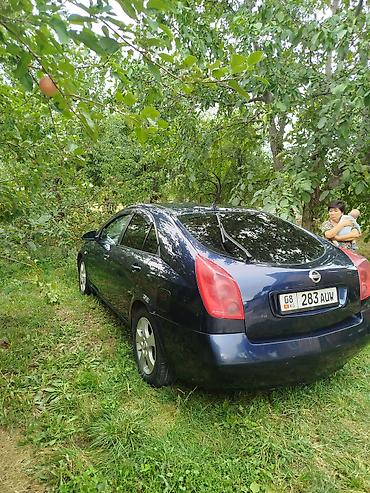 sprinter 315: Nissan Primera: 2002 г., 2 л, Механика, Бензин, Седан — 4