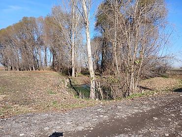 Продажа коттеджей и домов: Продаётся большой дом в селе Петровка с большим участком 40 — 17