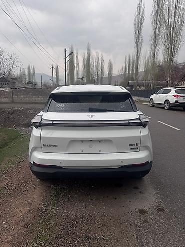 Tesla: Tesla : 2022 г., Электромобиль, Кроссовер — 7