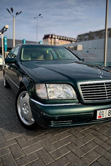 Mercedes-Benz: Mercedes-Benz S-Class: 1995 г., 4.2 л, Автомат, Бензин, Седан — 15