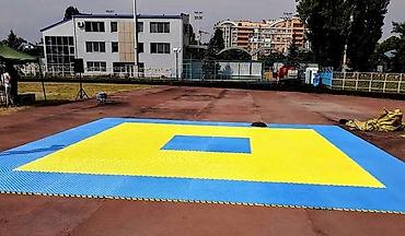 Другое для спорта и отдыха: Маты гимнастические маты для отработки борцовские ковры мат чучело — 7