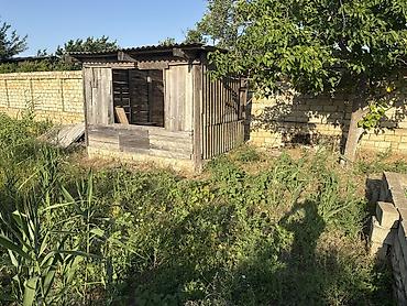 şirvanda torpaq satışı: 8 sot, Tikinti, Kupça (Çıxarış) — 5