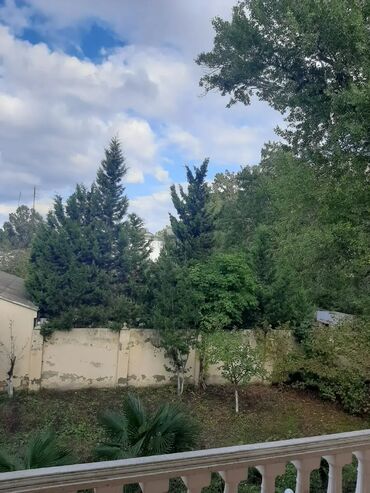 Bağ evlərinin satışı: Nabran, 200 kv. m, 6 otaqlı, Hovuzlu, Artezian quyusu, Kombi, Kanalizasiya -da lalafo.az — 11 Bağ evlərinin satışı: Nabran, 200 kv. m, 6 otaqlı, Hovuzlu, Artezian quyusu, Kombi, Kanalizasiya — 11