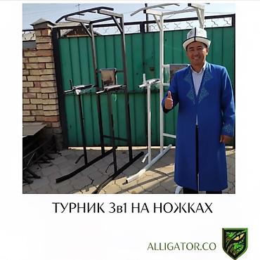 platform ok: Турник, 3 в 1, Напольный, Новый, Платная доставка, Самовывоз — 1