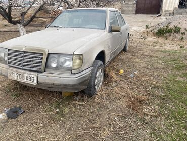 Mercedes-Benz: Mercedes-Benz W124: 1991 г., 2 л, Механика, Дизель, Седан