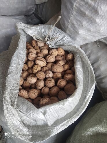 орехи саженцы: Срочно жангак сатылат ак маныз 3 тонна калды ! Продается орехи по