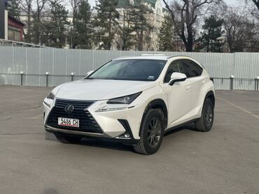 Lexus: Lexus NX: 2019 г., 2 л, Типтроник, Бензин, Хэтчбэк