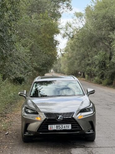 каракол арзан машина: Lexus NX: 2019 г., 2 л, Автомат, Бензин, Кроссовер