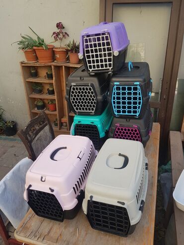 переноска для кошек: 7eded dasima cantasi Turkiye istehsali prablemsiz yaxsi veziyetde 1i