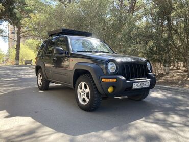 Jeep Liberty: 3.7 л | 2003 г. 280000 км Внедорожник
