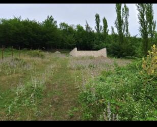 Torpaq sahələrinin satışı: 7 sot, Tikinti, Mülkiyyətçi -da lalafo.az — 12 Torpaq sahələrinin satışı: 7 sot, Tikinti, Mülkiyyətçi — 12