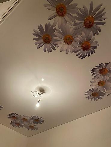 Натяжной потолок: Натяжные потолки 
город Манас — 9