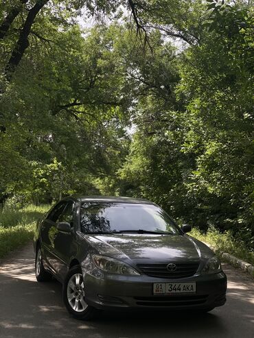 тайото алфард: Toyota Camry: 2003 г., 2.4 л, Автомат, Бензин, Седан