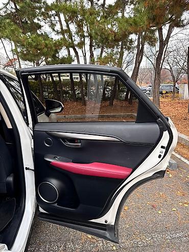 Lexus: Lexus NX: 2019 г., Вариатор, Гибрид, Кроссовер — 15