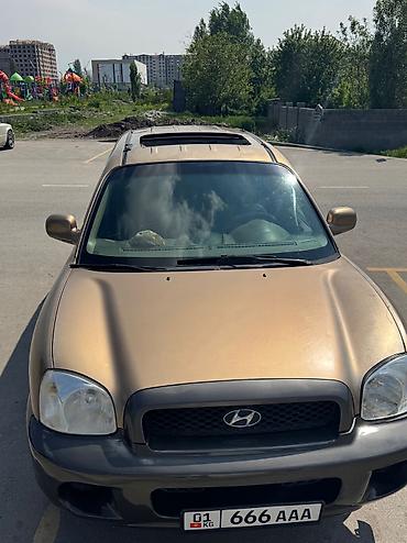 Hyundai: Hyundai Santa Fe: 2003 г., 2.7 л, Автомат, Газ, Внедорожник — 7