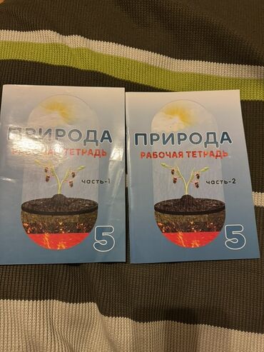 рабочая тетрадь по математике 1 класс азербайджан 2020: İş dəftəri 5-ci sinif