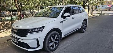 tesla 3: Kia Sorento: 2021 г., 2.2 л, Автомат, Дизель, Кроссовер — 2