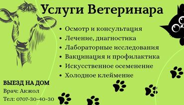 ритуальные услуги животных: Ветеринарные услуги - Осмотр и консультация - Лечение и диагностика -