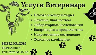 Ветеринарные услуги - Осмотр и консультация - Лечение и диагностика -