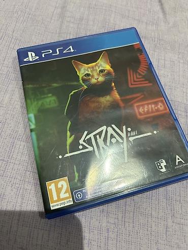 Техника и электроника: Məhsul: Stray – PS4 fiziki disk
İdial vəziyət — 1