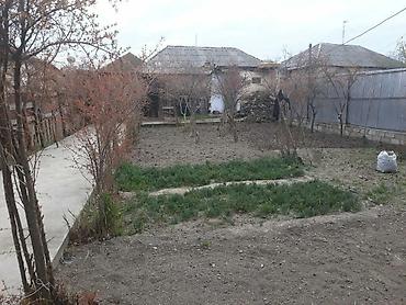 Həyət evləri və villaların satışı: 6 otaqlı, 340 kv. m — 3