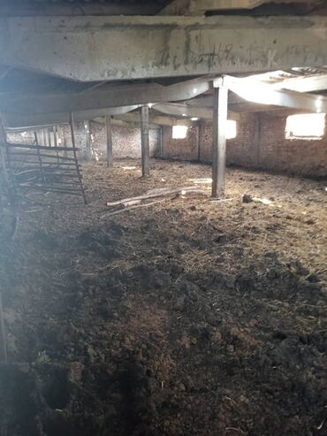 Сельхоз предприятия: Продаю Кошара, 50 соток, Действующий, Электричество, Канализация — 19