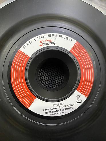 veqa 300: Soundking brendinin qara rəngdə peşəkar dinamiki. Bu, 8 ohm empedanslı — 2