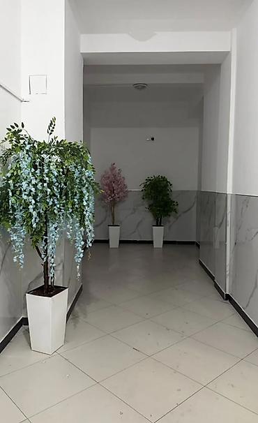 60: 2 комнаты, 60 м², Ала-Арча ТРЦ Элитка, 6 этаж — 10