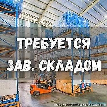 Кампа башчысы