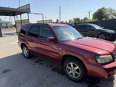 субару цена бу: Subaru Forester: 2004 г., Автомат, Универсал — 3