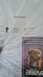 İtlər: 6 ay, Sənədli, Ünvandan götürmə — 8