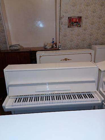 Musiqi alətləri: Pianino PETROF Cexiya stehsalı. İdeal vəziyyədə. Cadrılma və köklənmə — 4
