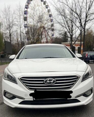 хендай элантра 2017 бишкек цена: Hyundai Sonata: 2017 г., 2 л, Автомат, Газ, Седан