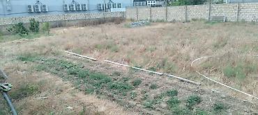 Torpaq sahələrinin satışı: Kənd təsərrüfatı — 5