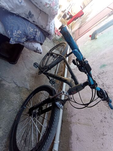 Şəhər velosipedləri: Problemi var ikidənən kask hədiyyə verilir qiymət 180 asaxi yeri — 2