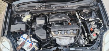 Honda: Honda Stream: 2003 г., 1.7 л, Автомат, Бензин, Минивэн — 10