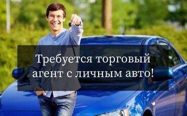 торговые агенты: Требуются ТОРГОВЫЕ агенты можно БЕЗ опыта работы!! На регион (