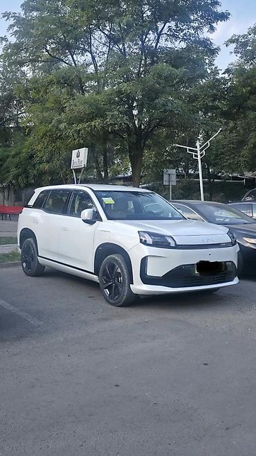чехол а3: AION LX Plus, электрический кроссовер (белый цвет кузова, черная — 1