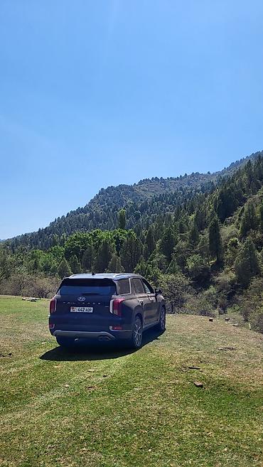 santa fe 2024: Hyundai Palisade: 2019 г., 2.2 л, Автомат, Дизель, Универсал — 10