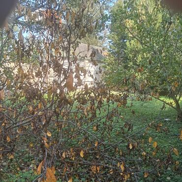 Həyət evləri və villaların satışı: Продается Дом Набрани. Центральная улица за отелем Сансет Форест.Дом 4 — 14