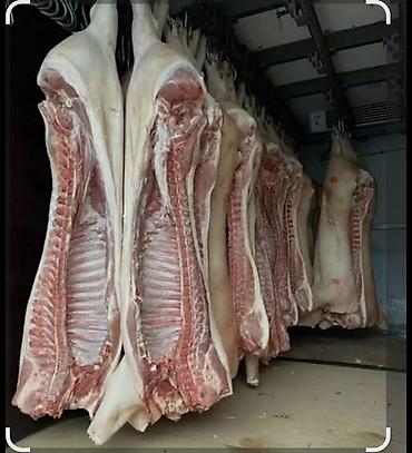 Свинина: СВИНИНА ОПТОМ В ПОЛУТУШАХ - Прямая поставка свежей продукции. - — 3