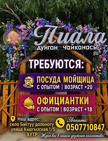 озбек строители: Вакансии в «Пиала» (дунган чайканасы) Желательно местные !!! Открыт — 1