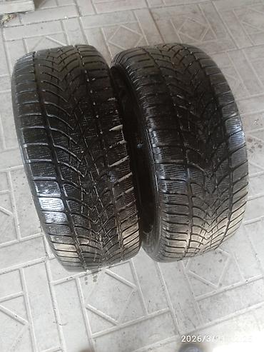 stud 100: Зимние шины 225/55 R16 (ненашипованные) - Размер: 225/55 R16 - Сезон — 1