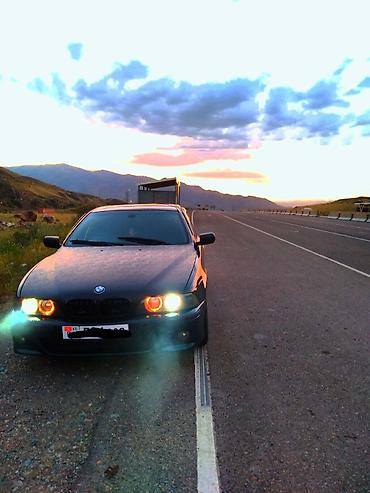 bad e5: BMW 5 series: 1998 г., 2.8 л, Автомат, Бензин, Седан — 1