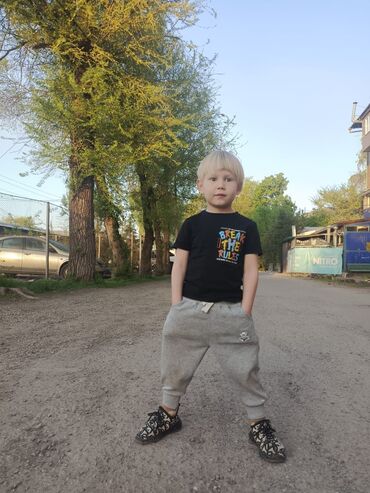 дом 2: 56 м², 2 комнаты