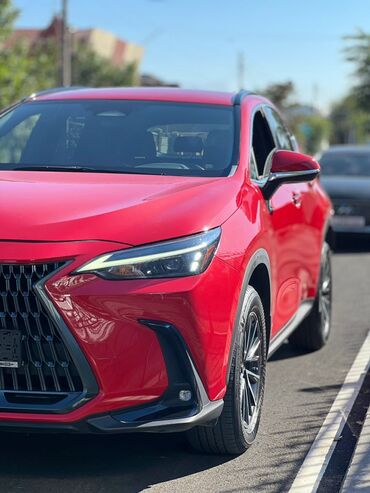 Lexus: Lexus NX: 2022 г., Автомат, Бензин, Кроссовер — 14