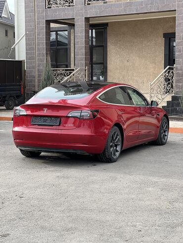 Tesla: Tesla Model 3: 2019 г., 5.5 л, Автомат, Электромобиль, Седан — 5