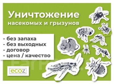 Дезинфекция, дезинсекция: Дезинфекция, дезинсекция, | Клопы, Блохи, Тараканы, | Транспорт, Офисы, Квартиры — 15