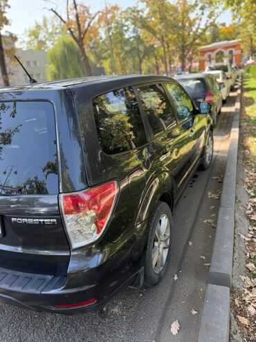 Subaru: Subaru Forester: 2008 г., 2.5 л, Автомат, Бензин, Внедорожник — 4