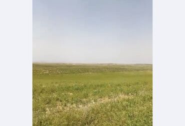 снять дом на долгий срок: 6 соток, Красная книга
